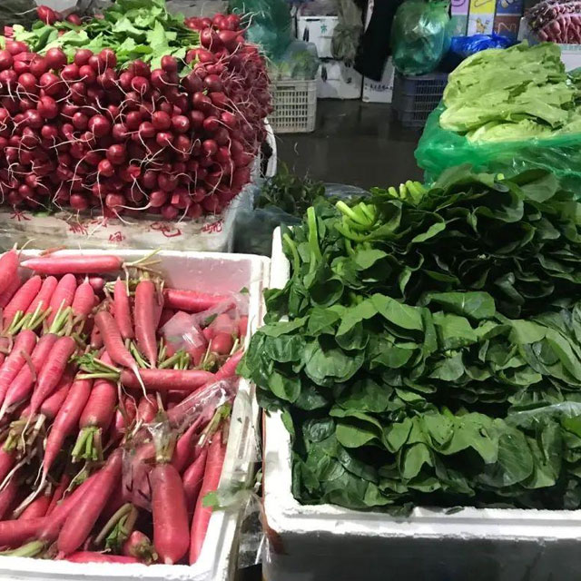 深圳蔬菜批發(fā)