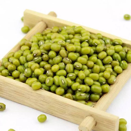 綠豆配送