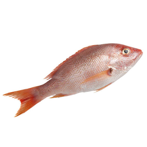 紅衫魚配送