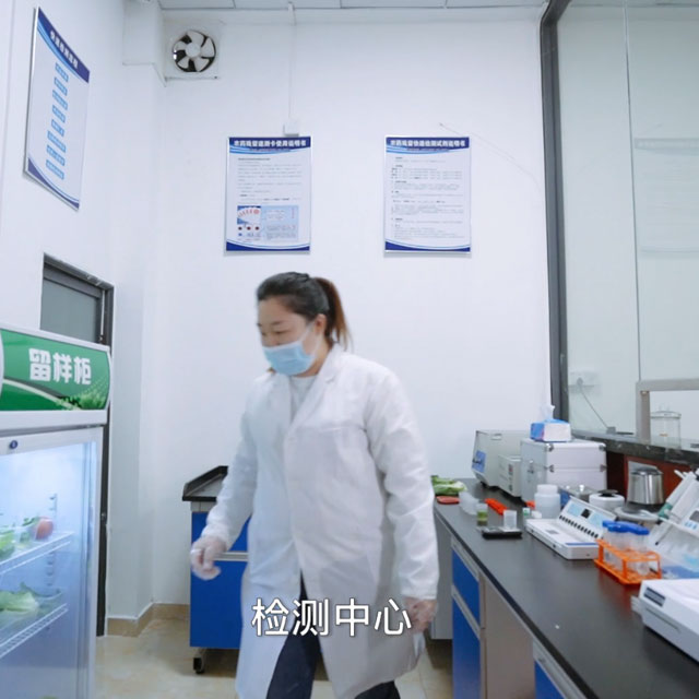 檢測室公司環(huán)境粵崗蔬菜配送
